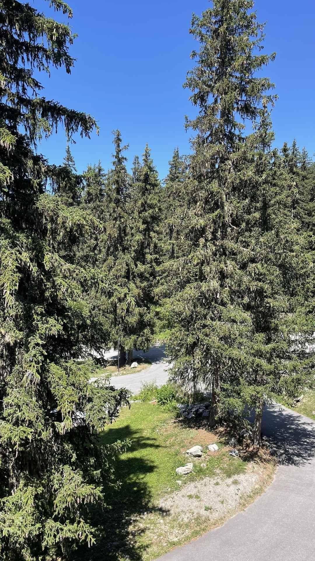 foto14
