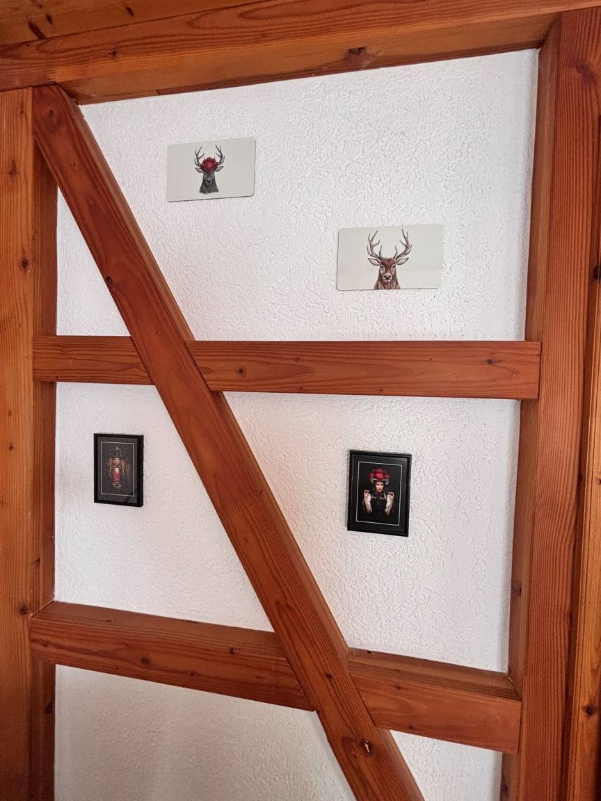 foto9