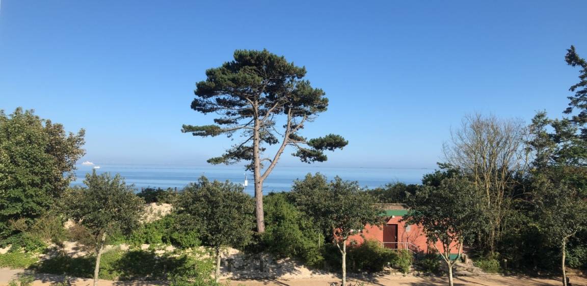 foto15