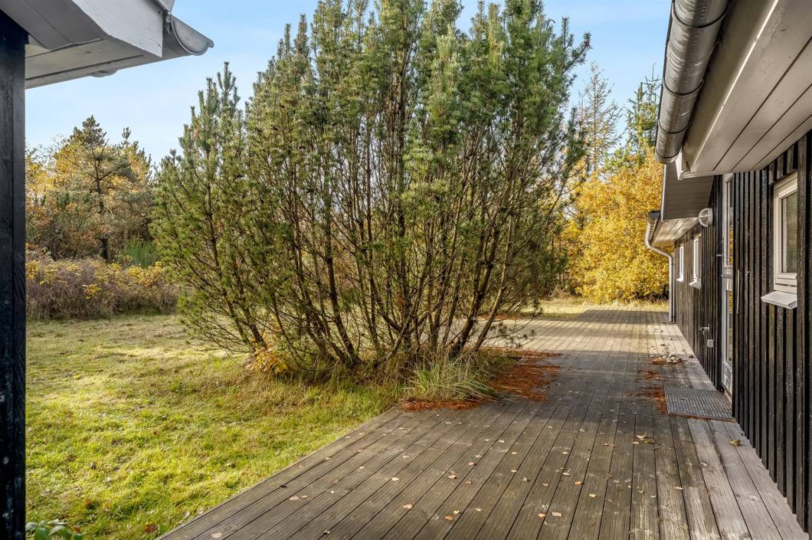 foto21