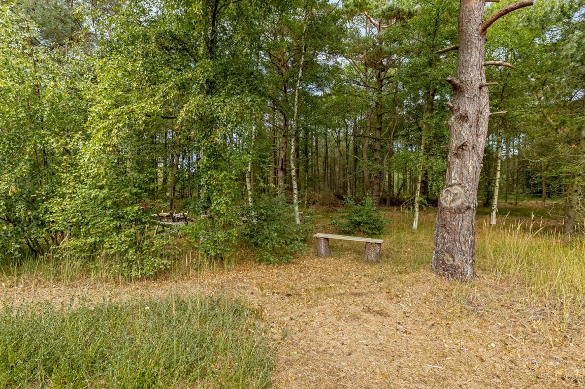 foto28