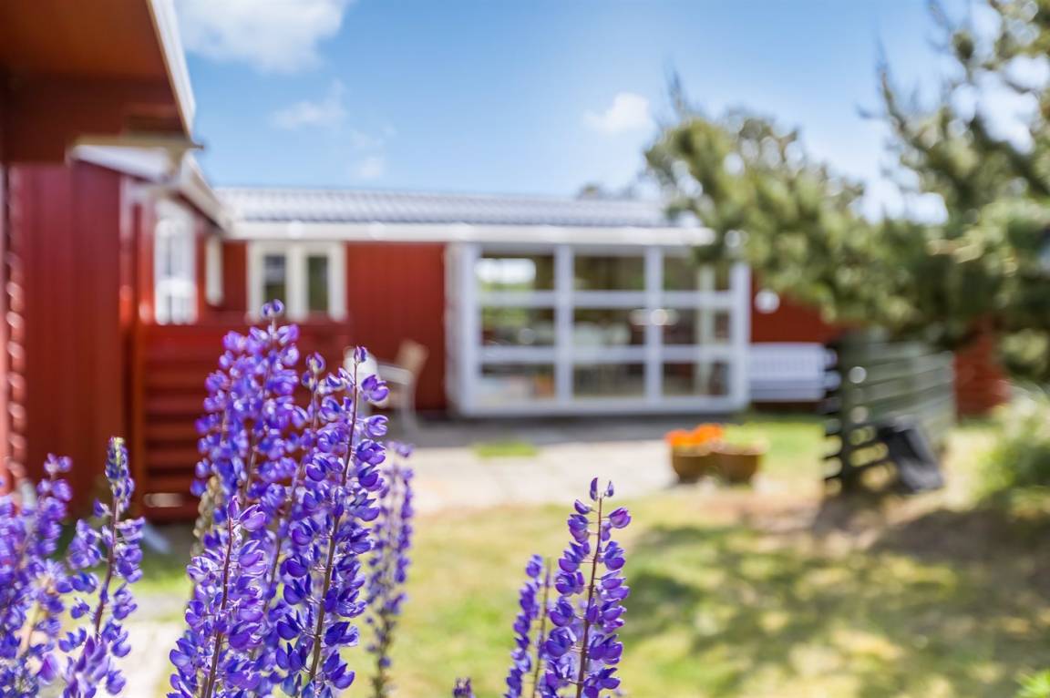 foto1