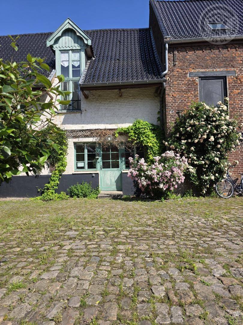 foto26