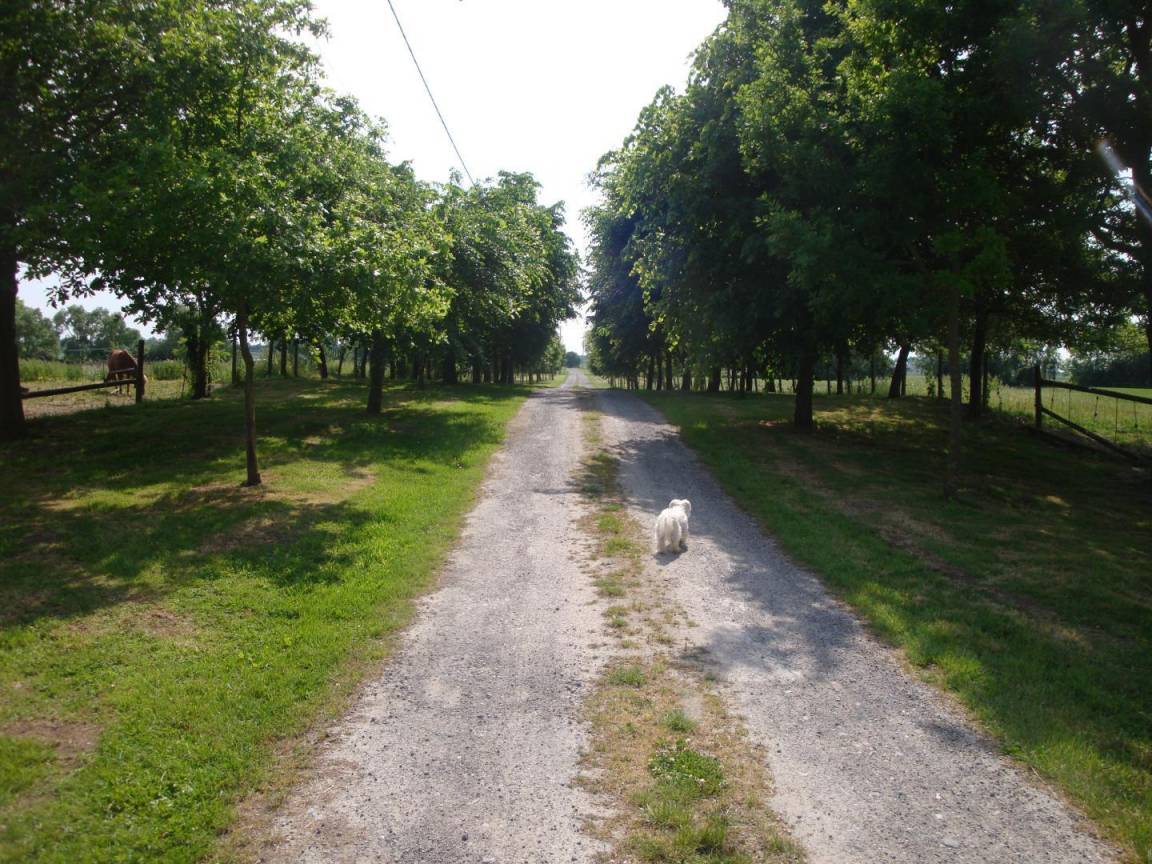 foto31