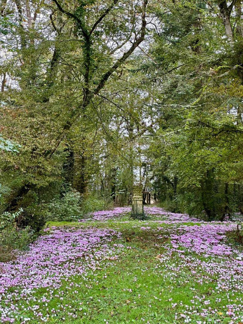 foto21