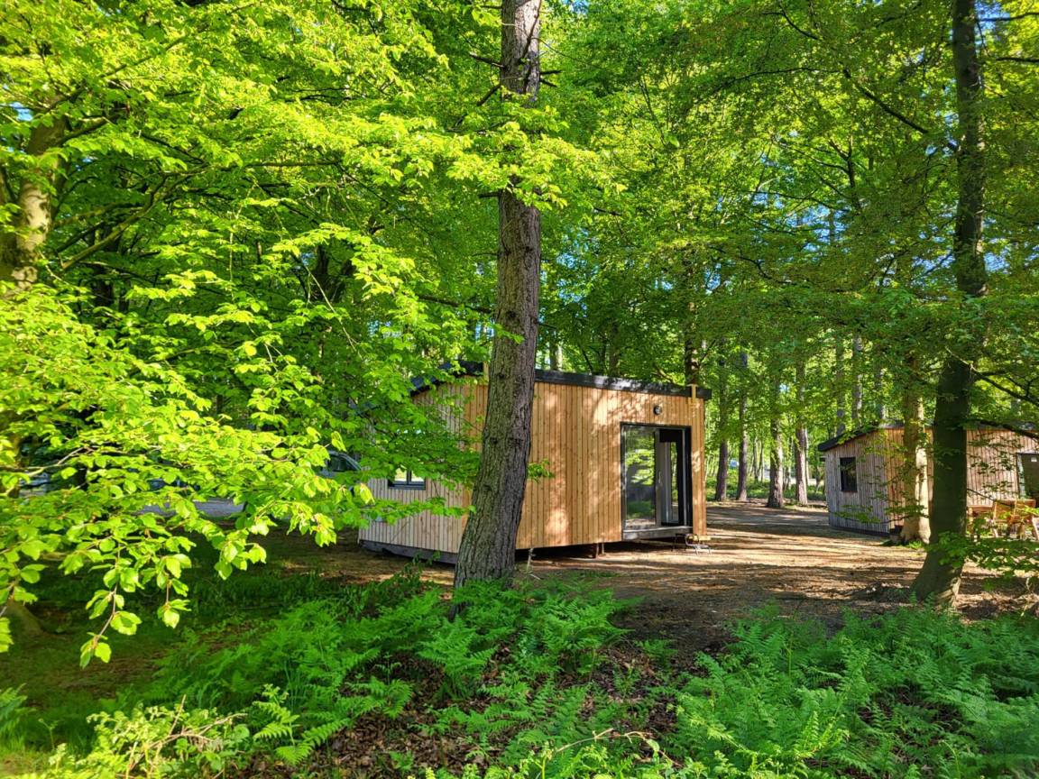 Cottage ∙ 1 Bedroom ∙ 5 Guests - Nottinghamshire