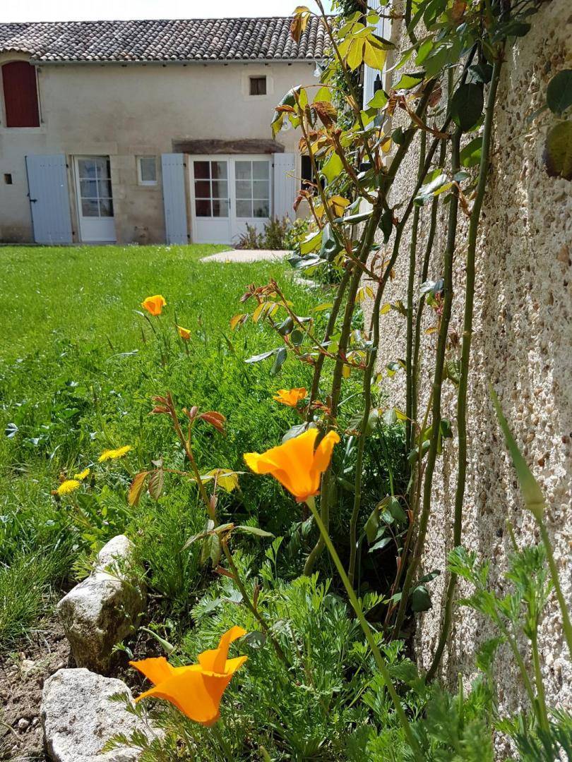 foto16