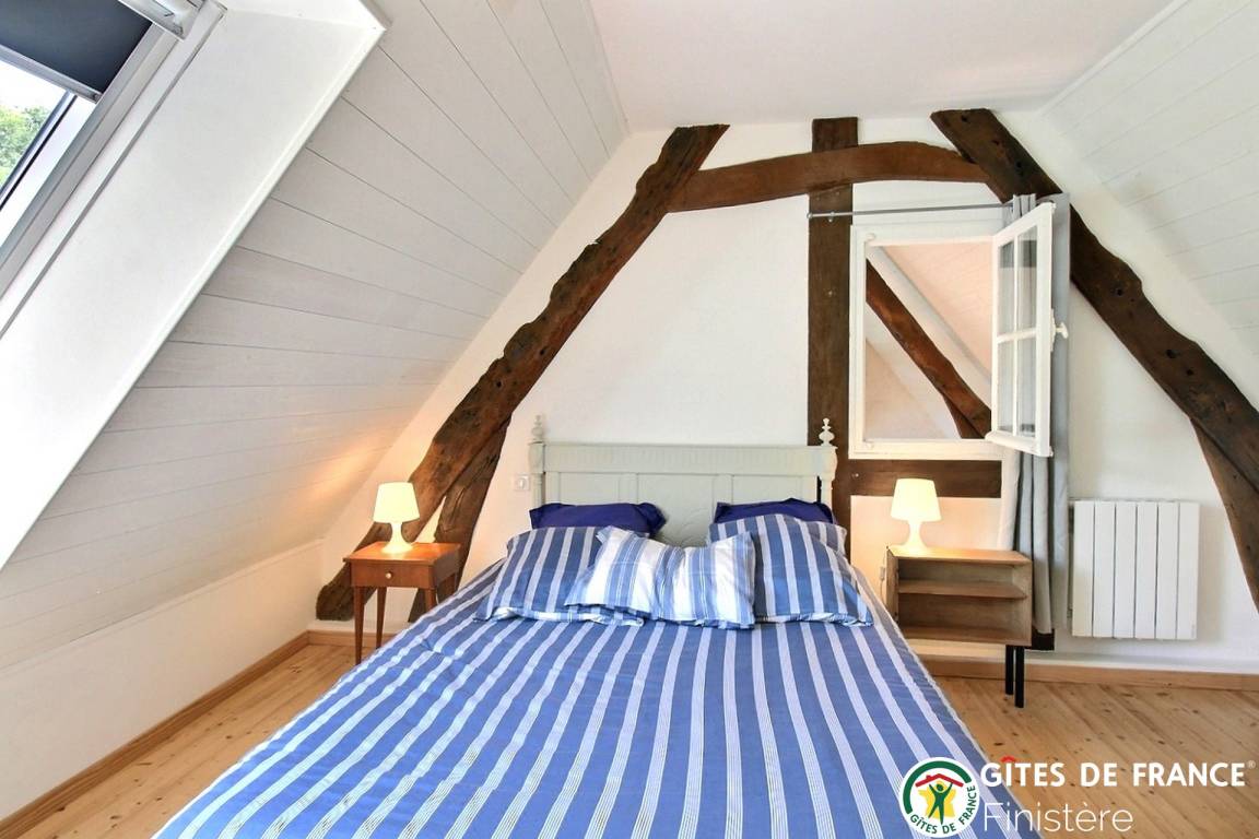 foto31