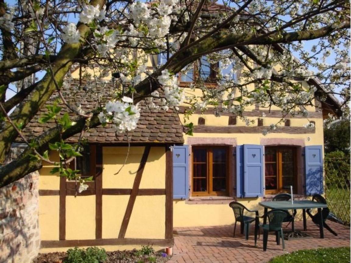 43 M² House ∙ 2 Bedrooms ∙ 4 Guests - Colmar