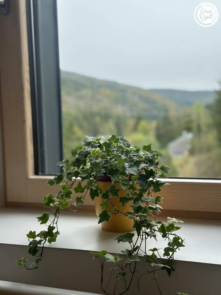 foto21