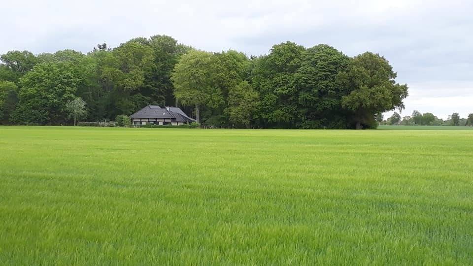 160 m² Ferienhaus ∙ 8 Schlafzimmer ∙ 12 Gäste – Bild 3