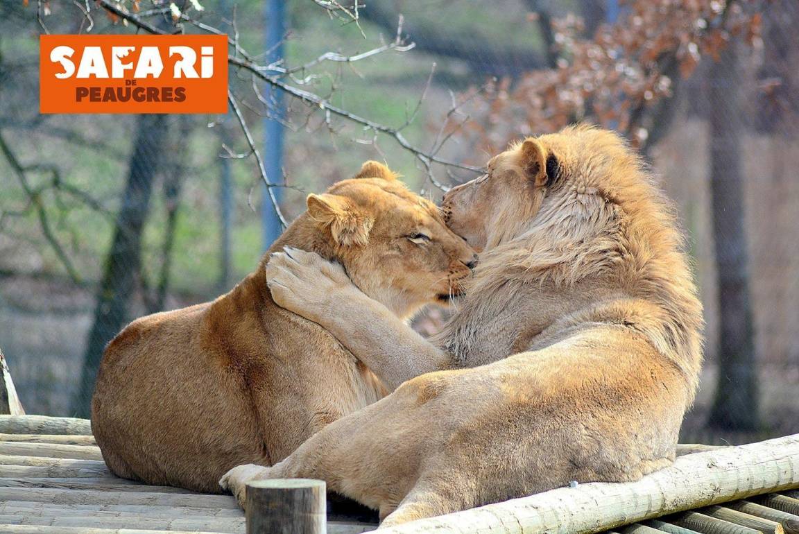 foto45