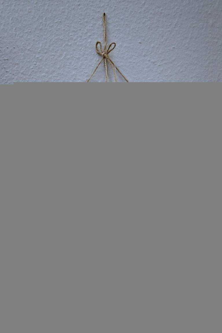 foto19