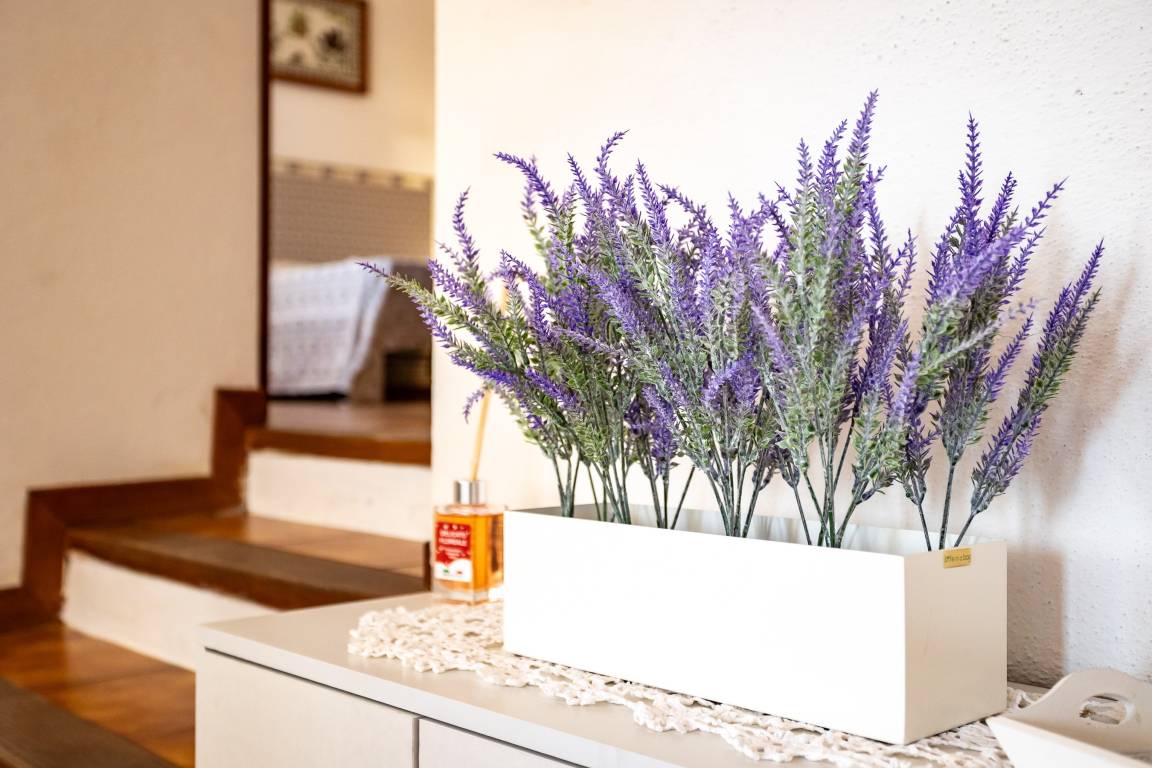 70 M² Apartment ∙ 2 Bedrooms ∙ 4 Guests - Costa Paradiso