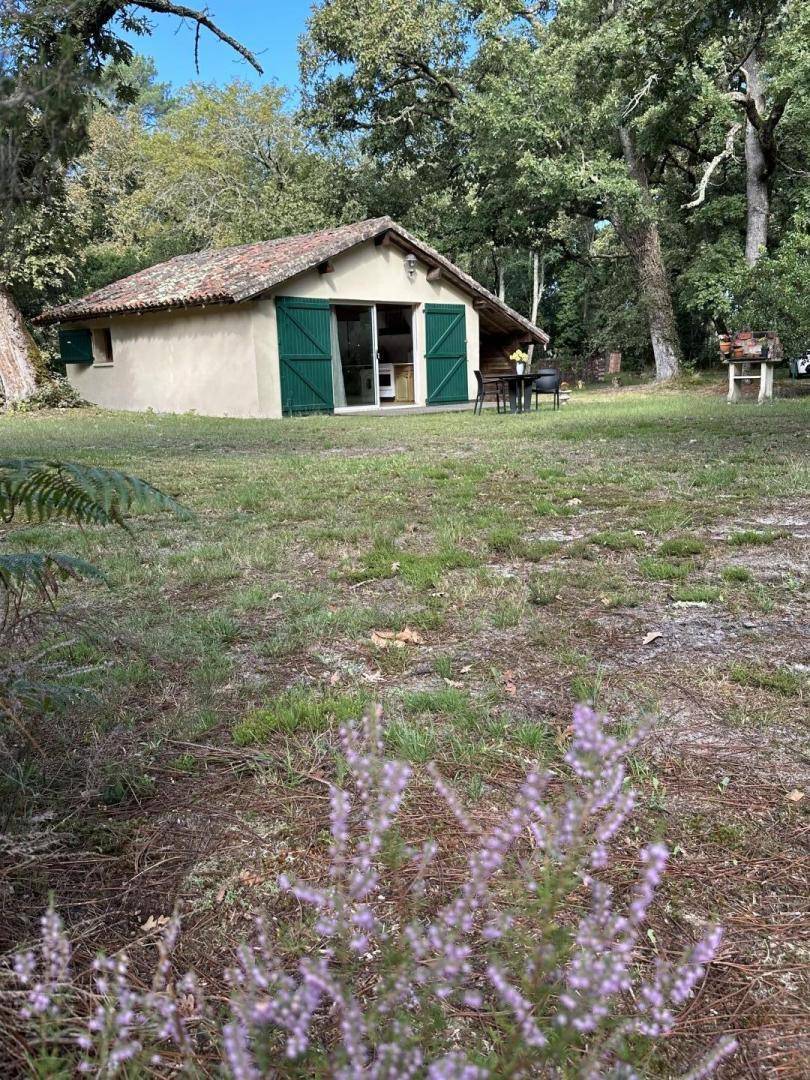 foto17