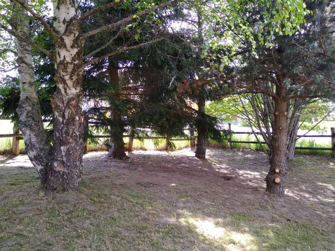 foto44
