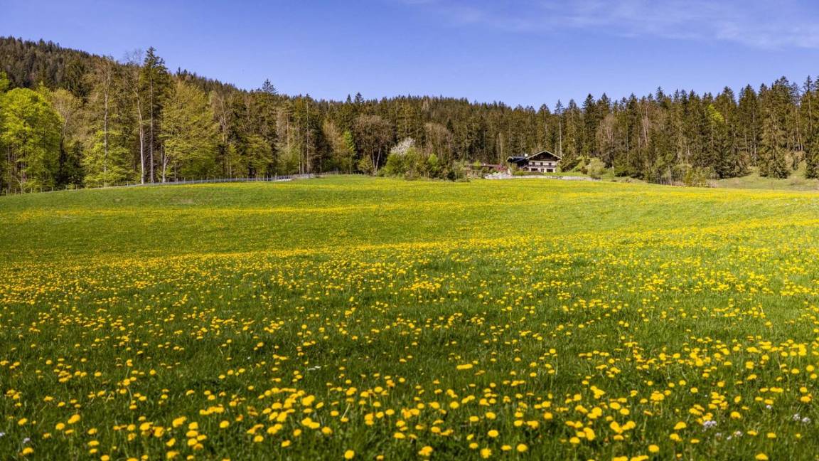 36 M² Apartment ∙ 1 Bedroom ∙ 2 Guests - Bad Reichenhall