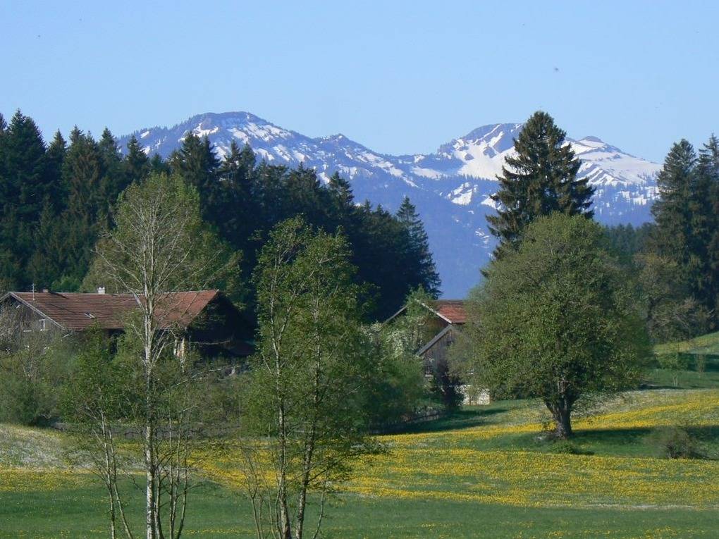foto6