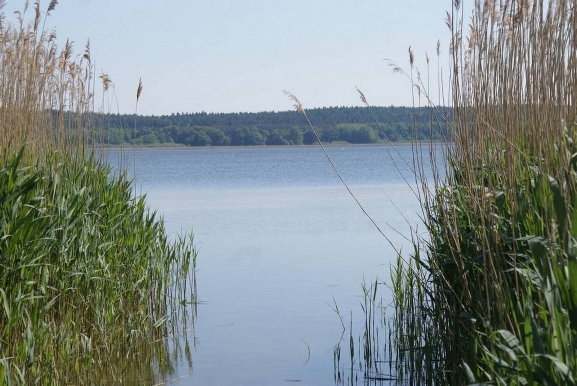 foto18
