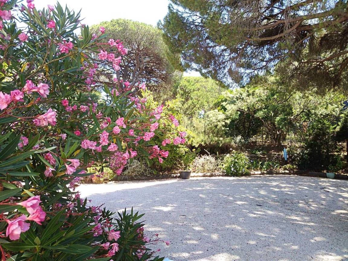 foto15