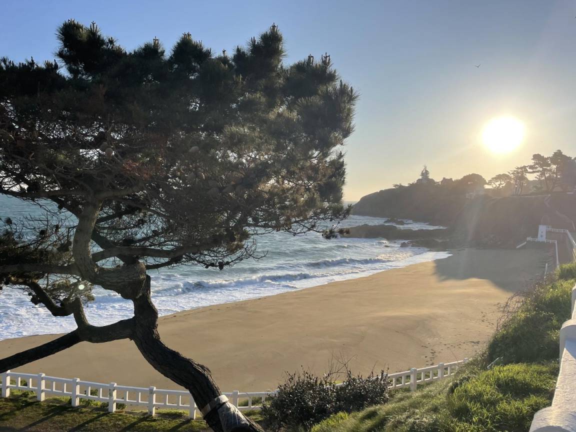 foto16