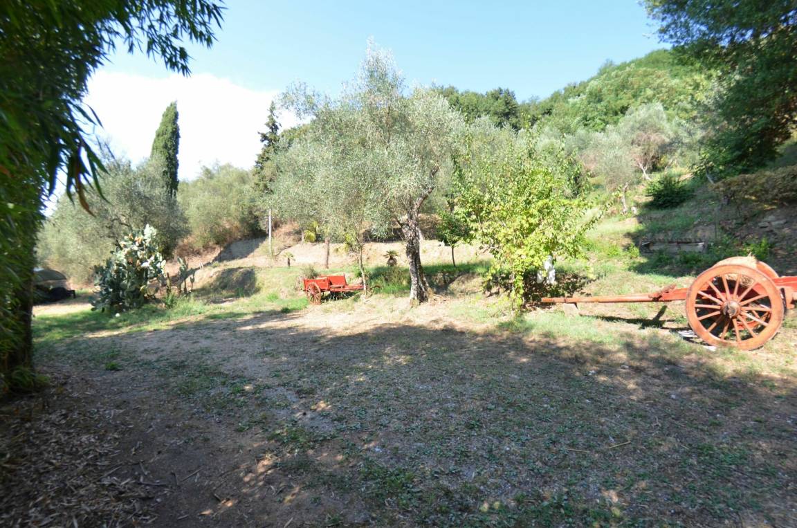 foto19