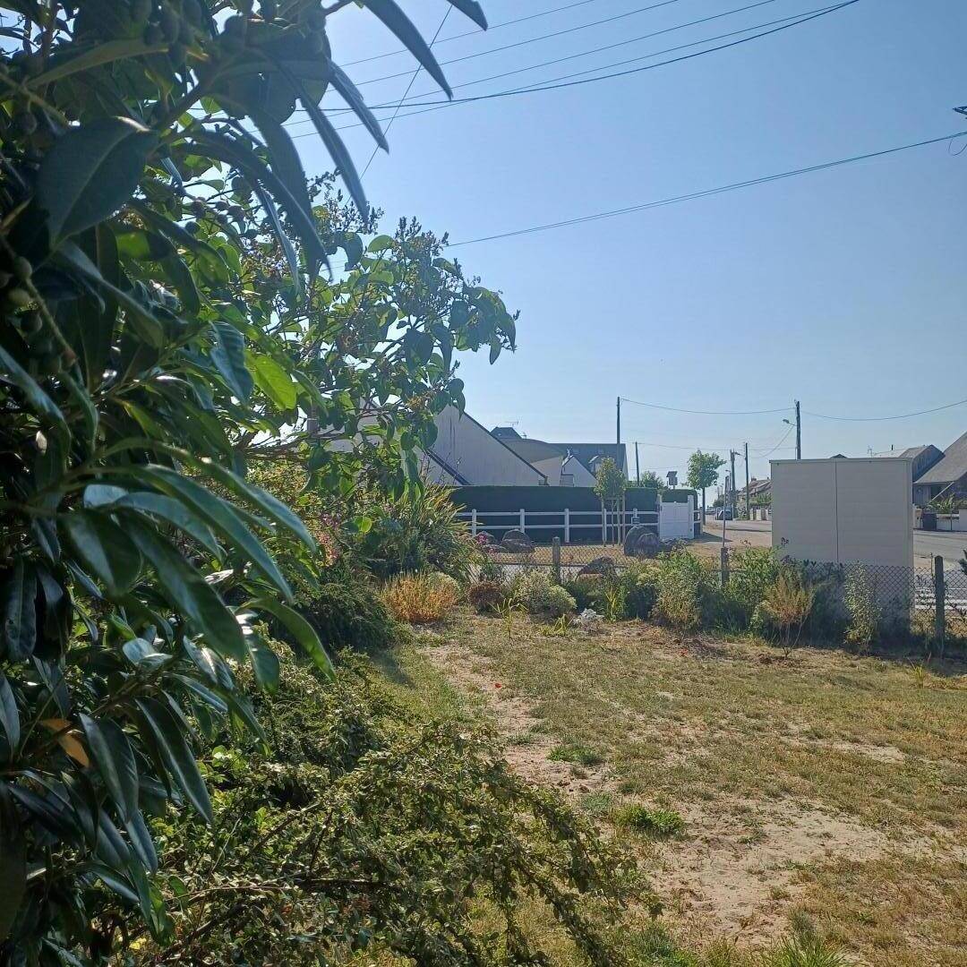 foto14