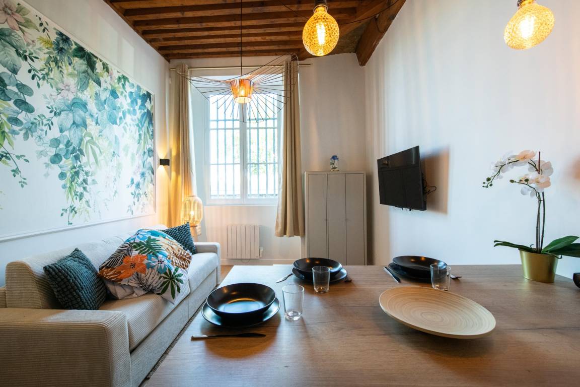 27 M² Appartement ∙ 1 Chambre ∙ 2 Personnes - Ibis Styles Lyon Croix Rousse