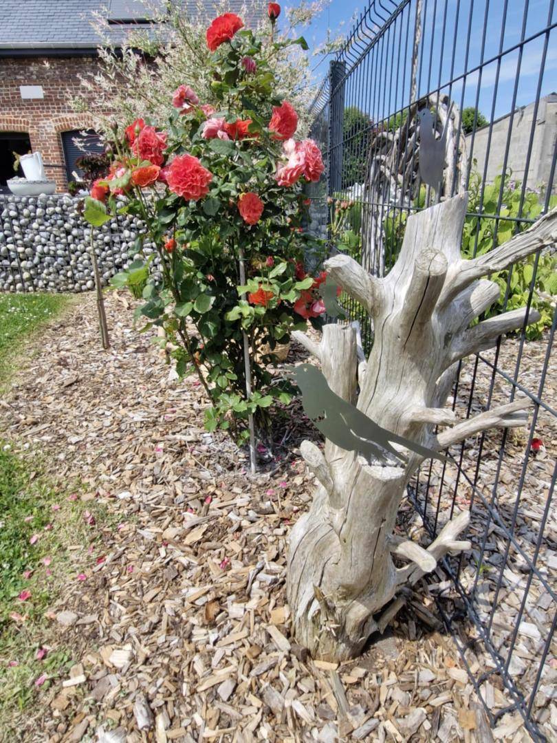 foto47