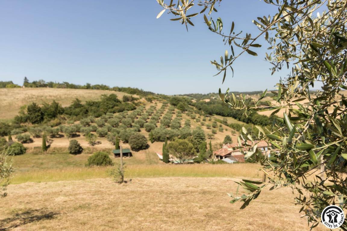 foto45