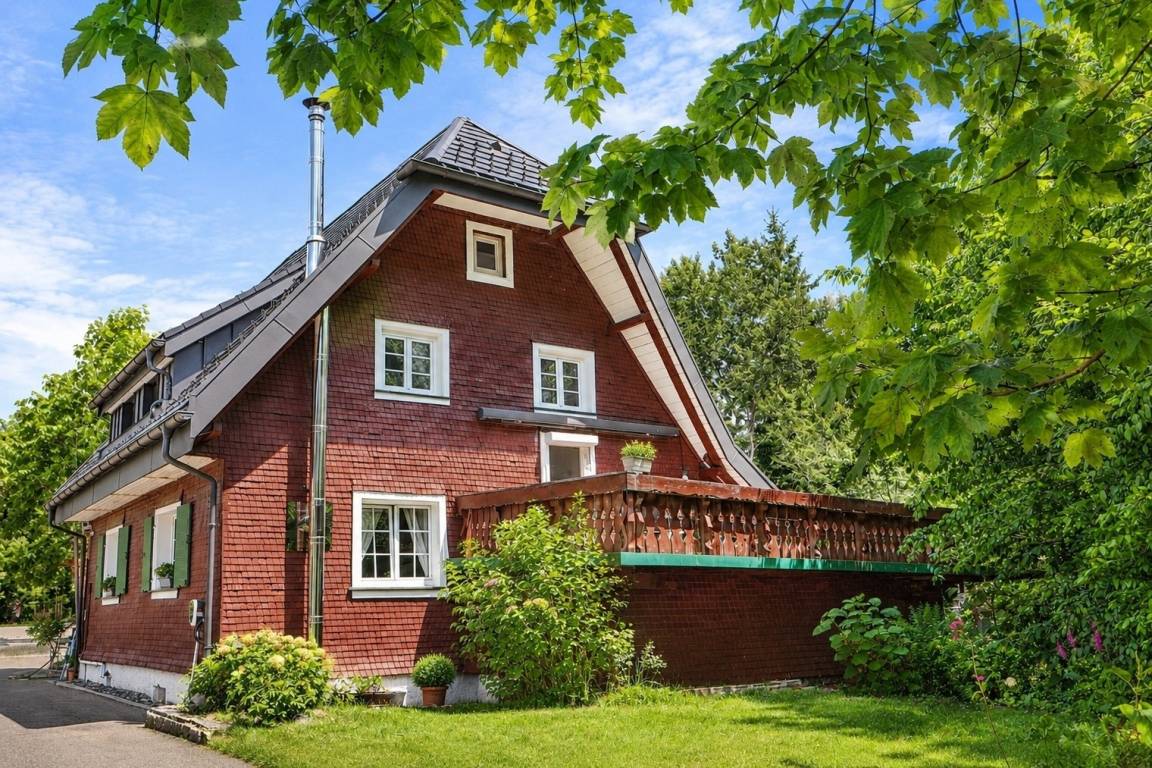 foto1