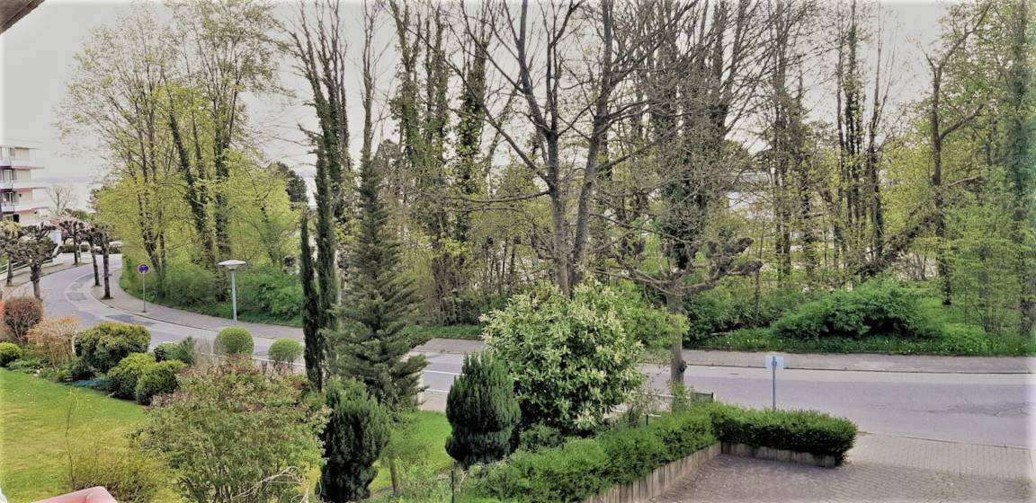 foto12