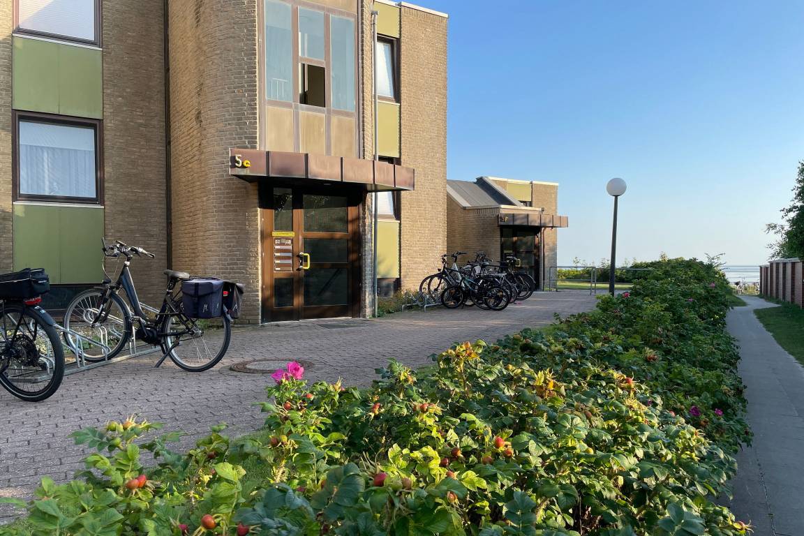 foto25