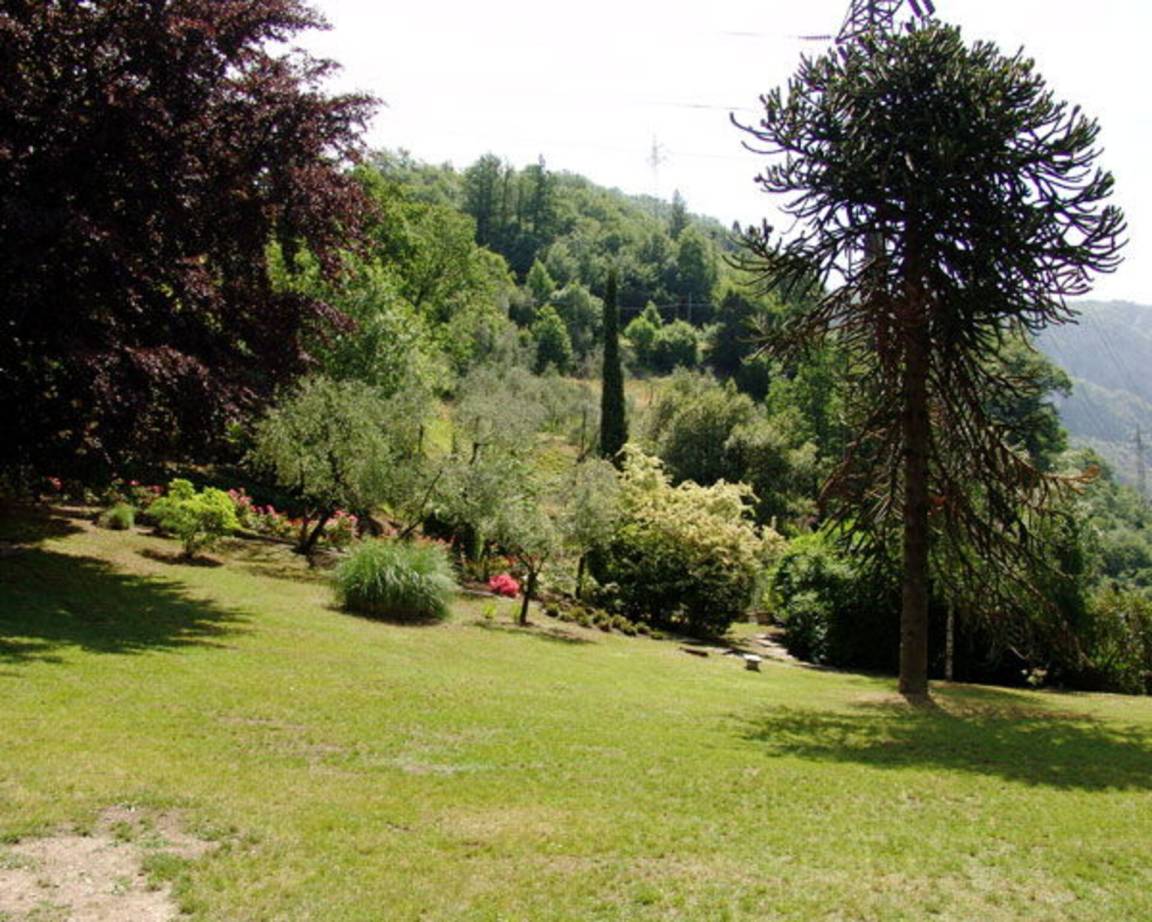 foto9