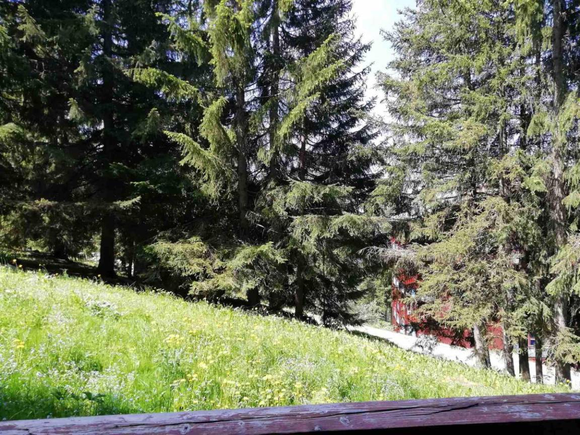 foto14