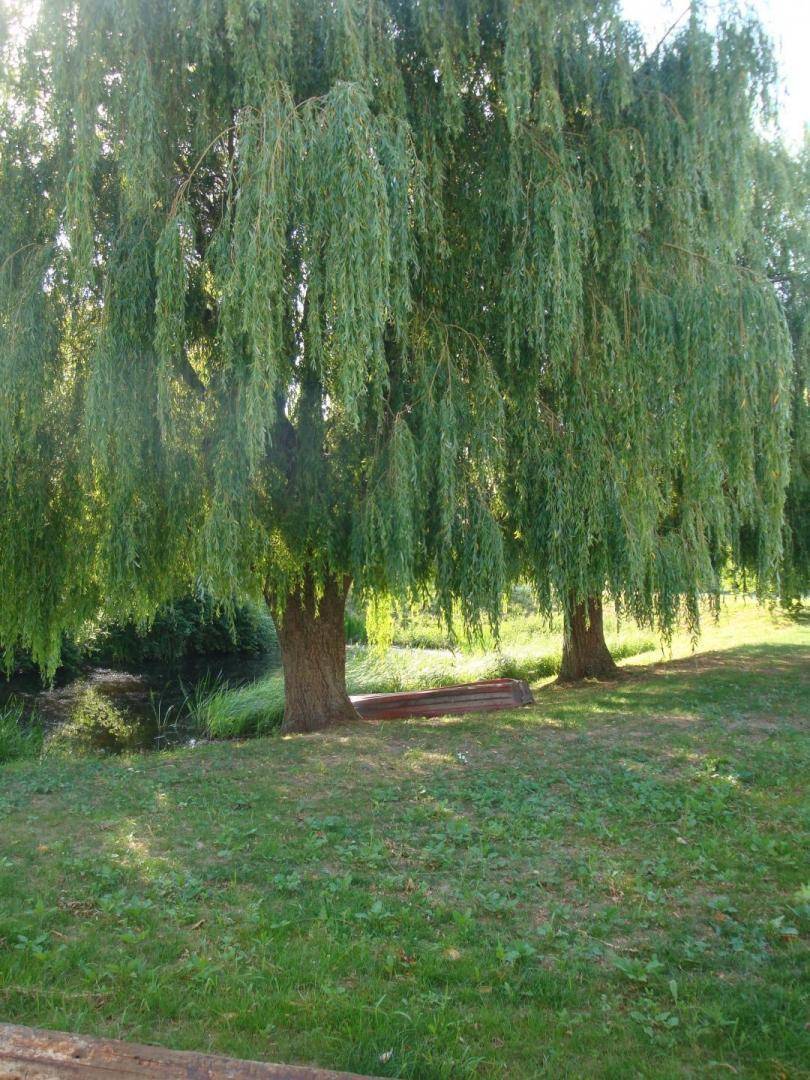foto16