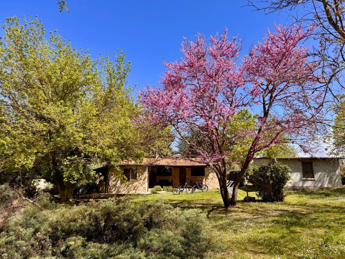 65 M² Bauernhof ∙ 2 Schlafzimmer ∙ 4 Gäste - Pitigliano