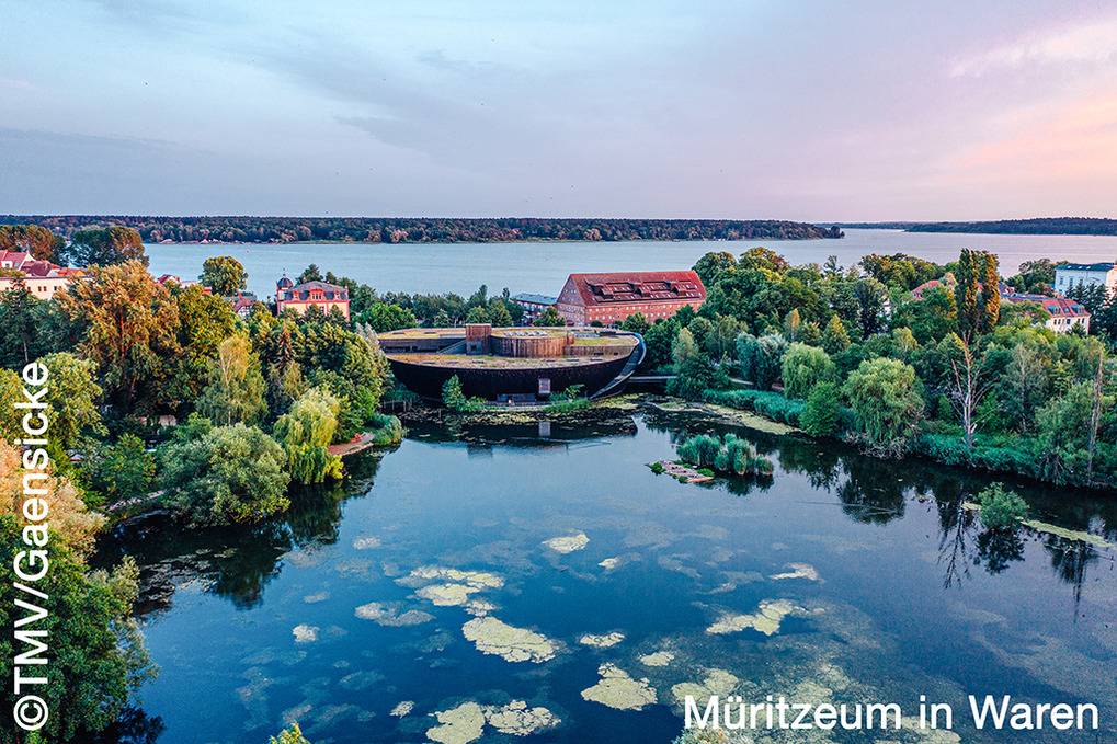 70 m² Ferienhaus ∙ 1 Schlafzimmer ∙ 4 Gäste – Bild 38