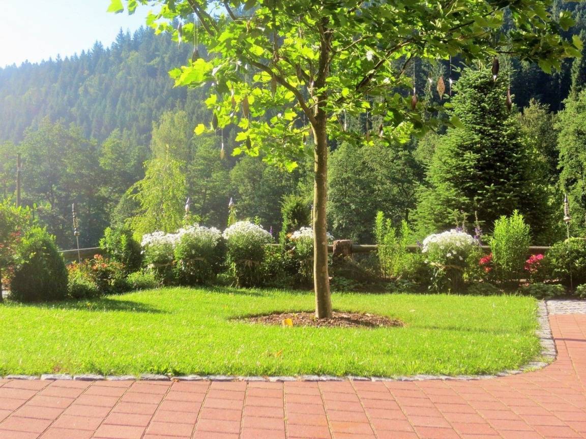 foto16