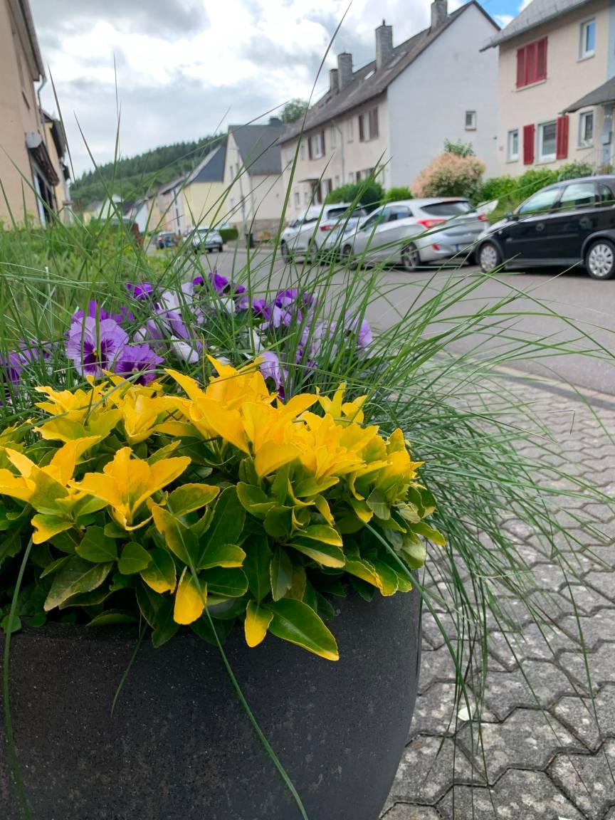 foto24