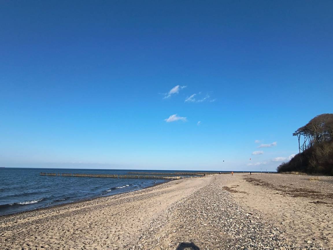 foto46