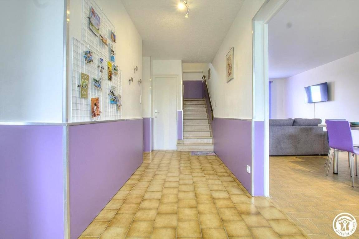 foto19