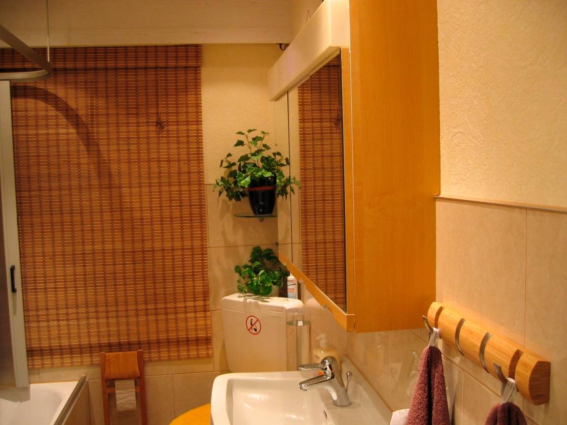 foto7