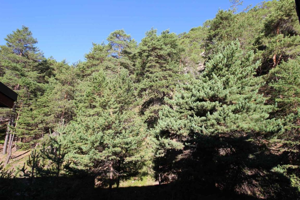 foto12