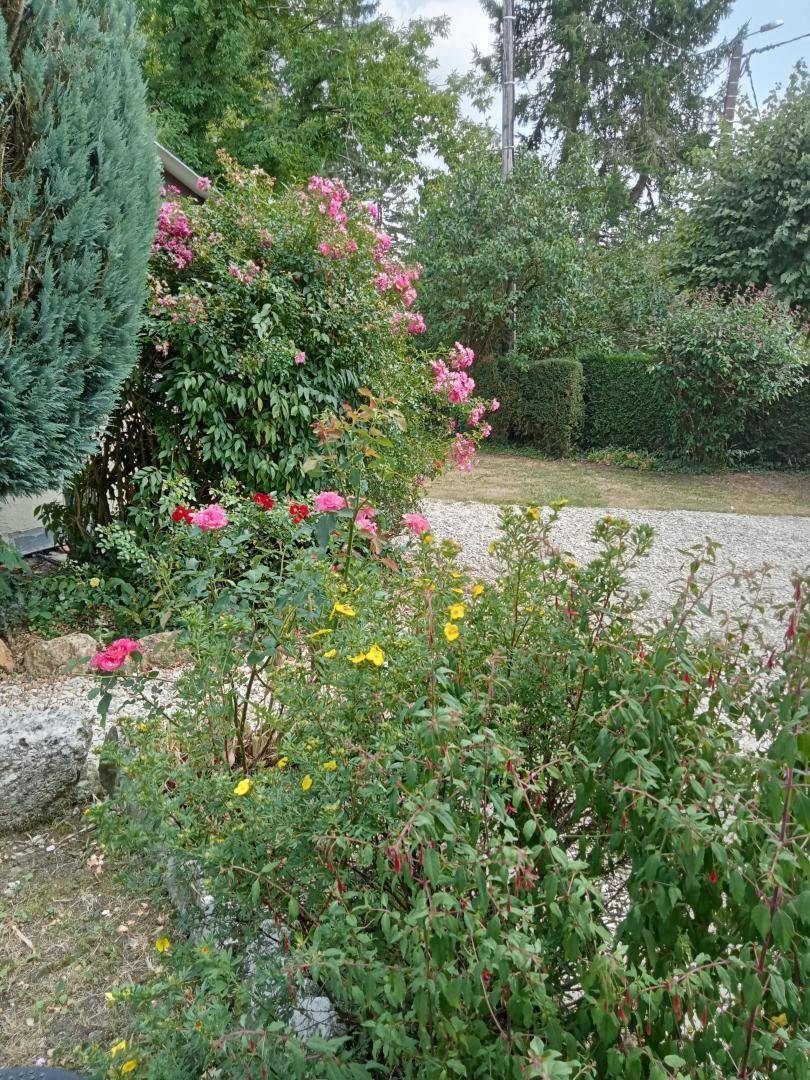 foto13