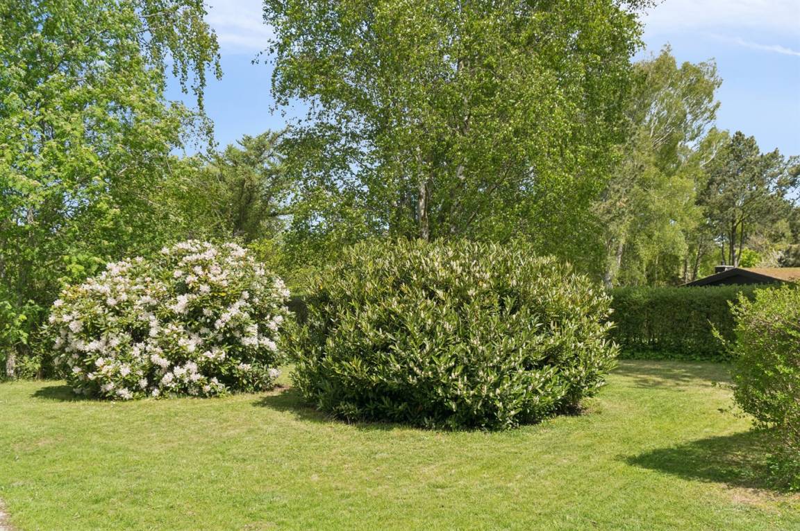 foto25