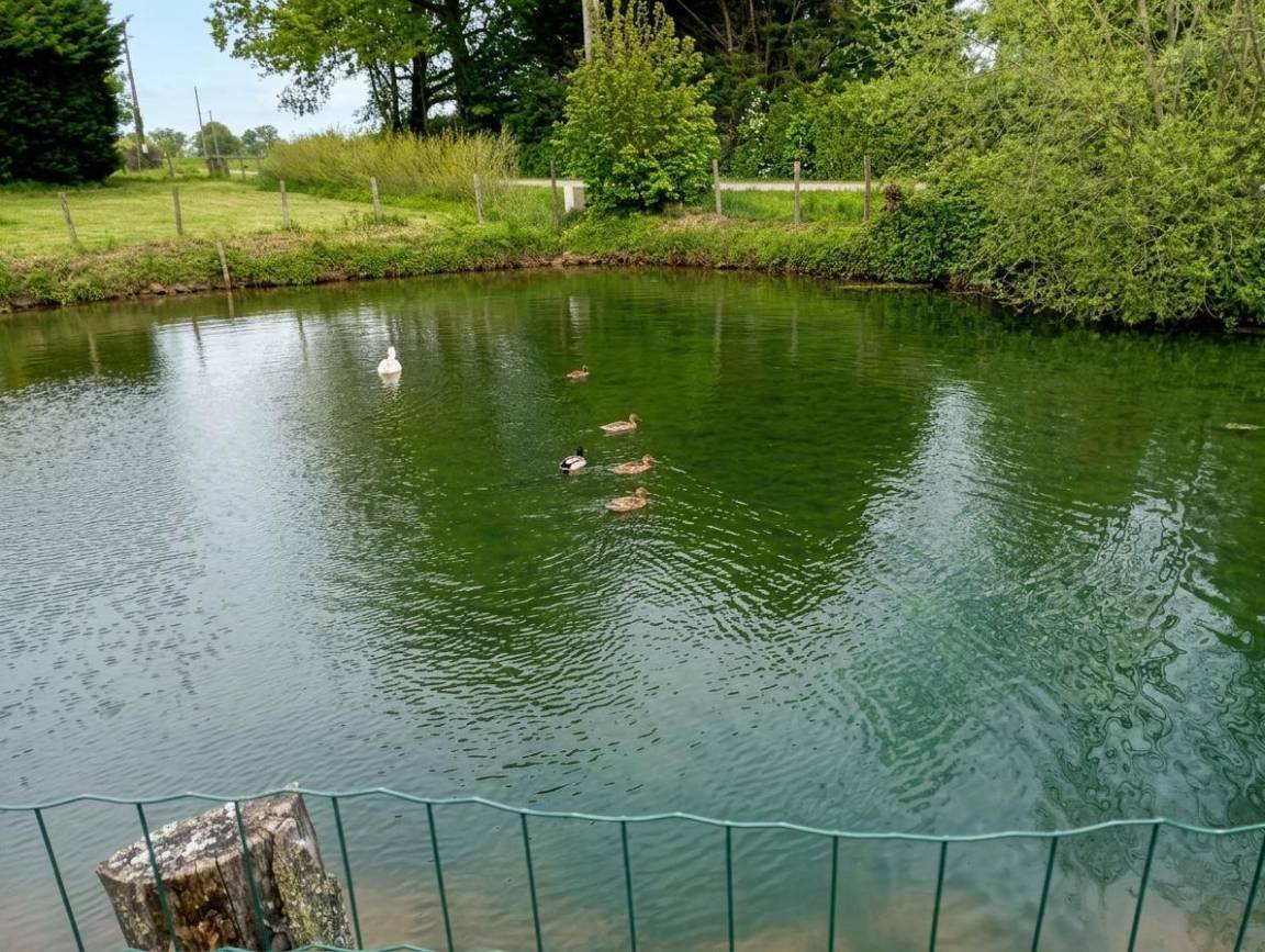 foto42
