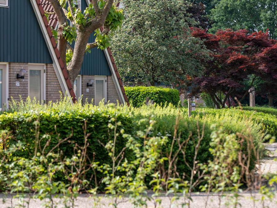 100 M² Bungalow ∙ 3 Bedrooms ∙ 6 Guests - Nijmegen