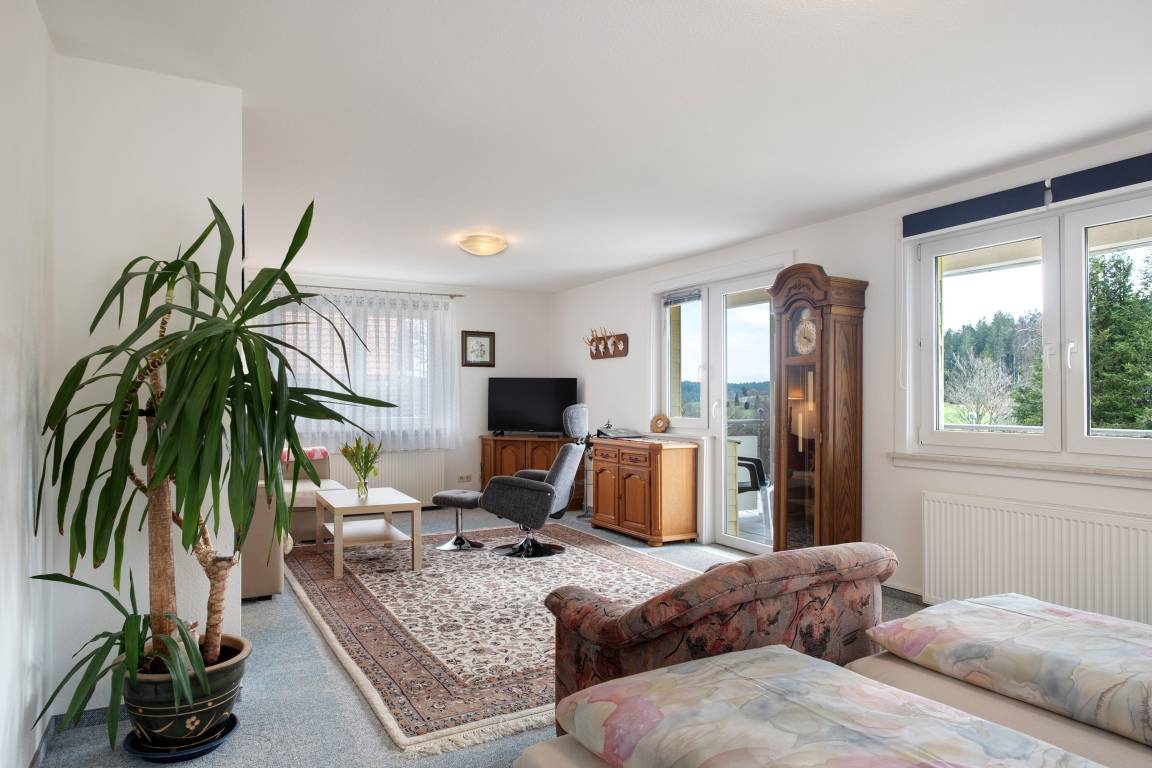 80 M² Studio Flat ∙ 4 Guests - Triberg