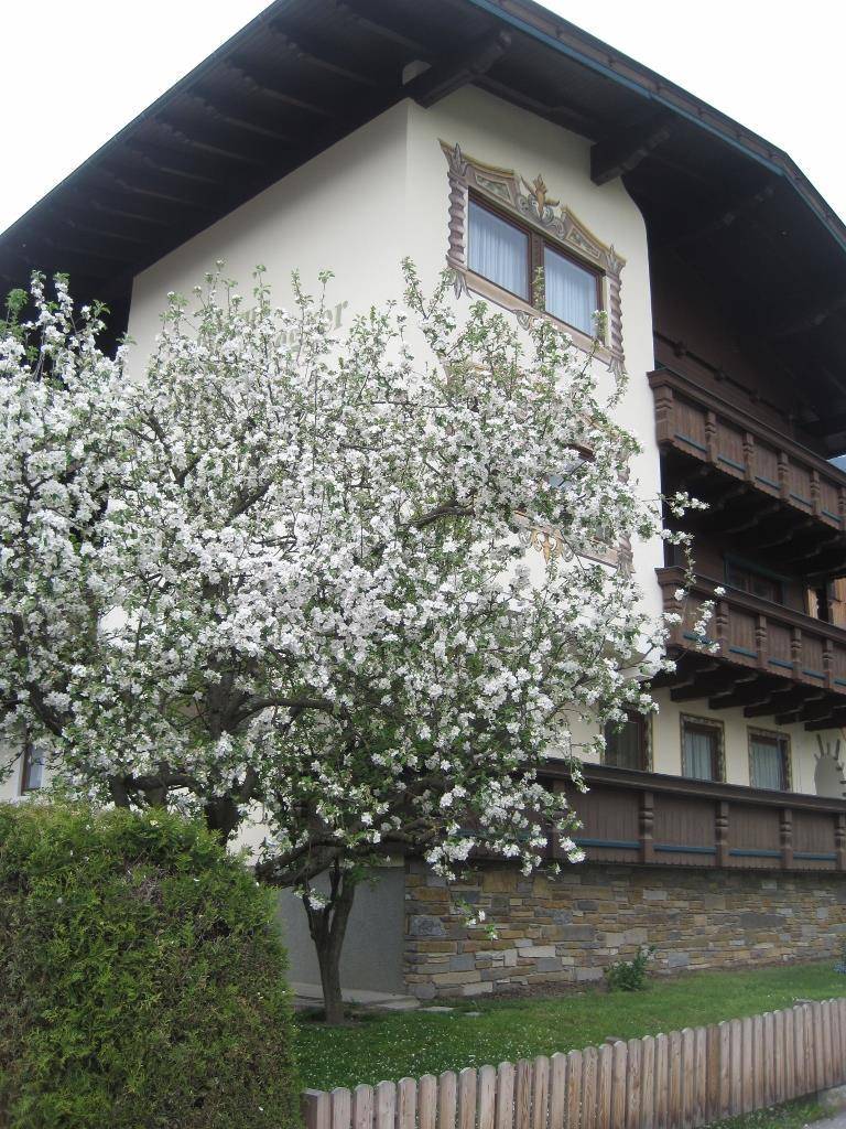 50 M² Apartment ∙ 1 Bedroom ∙ 3 Guests - Alpbach